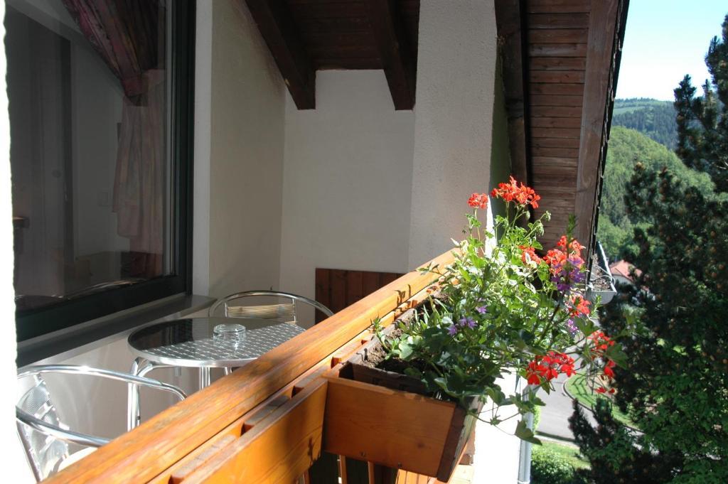 Pension Haus Diefenbach Heimbach Szoba fotó