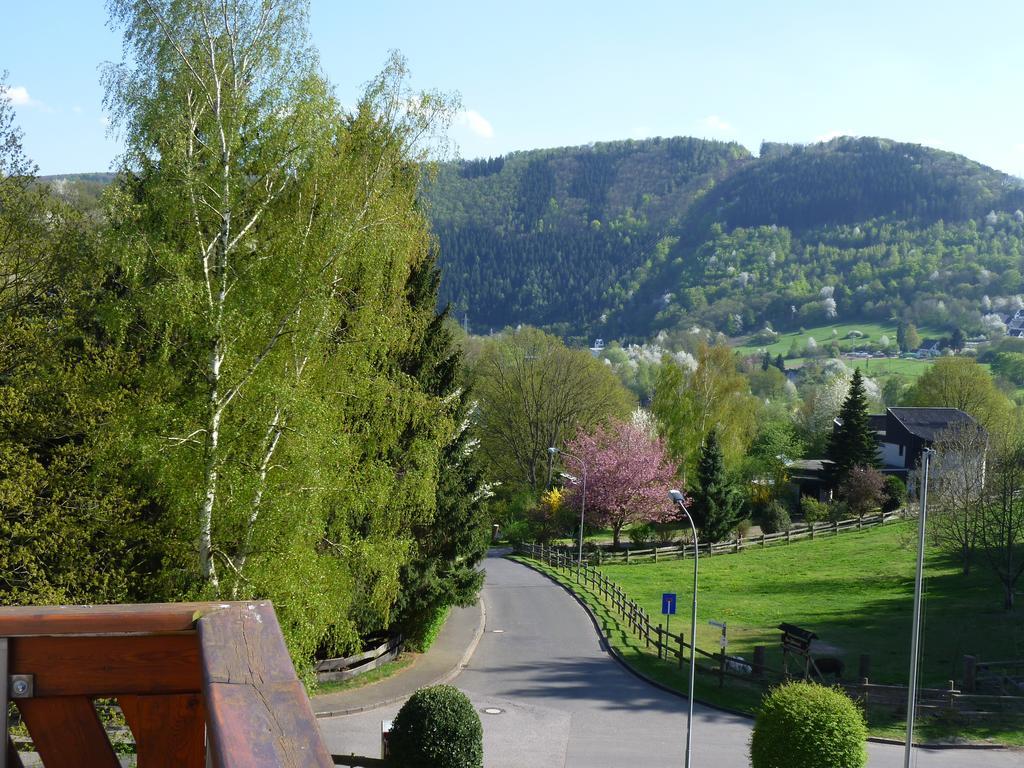 Pension Haus Diefenbach Heimbach Kültér fotó